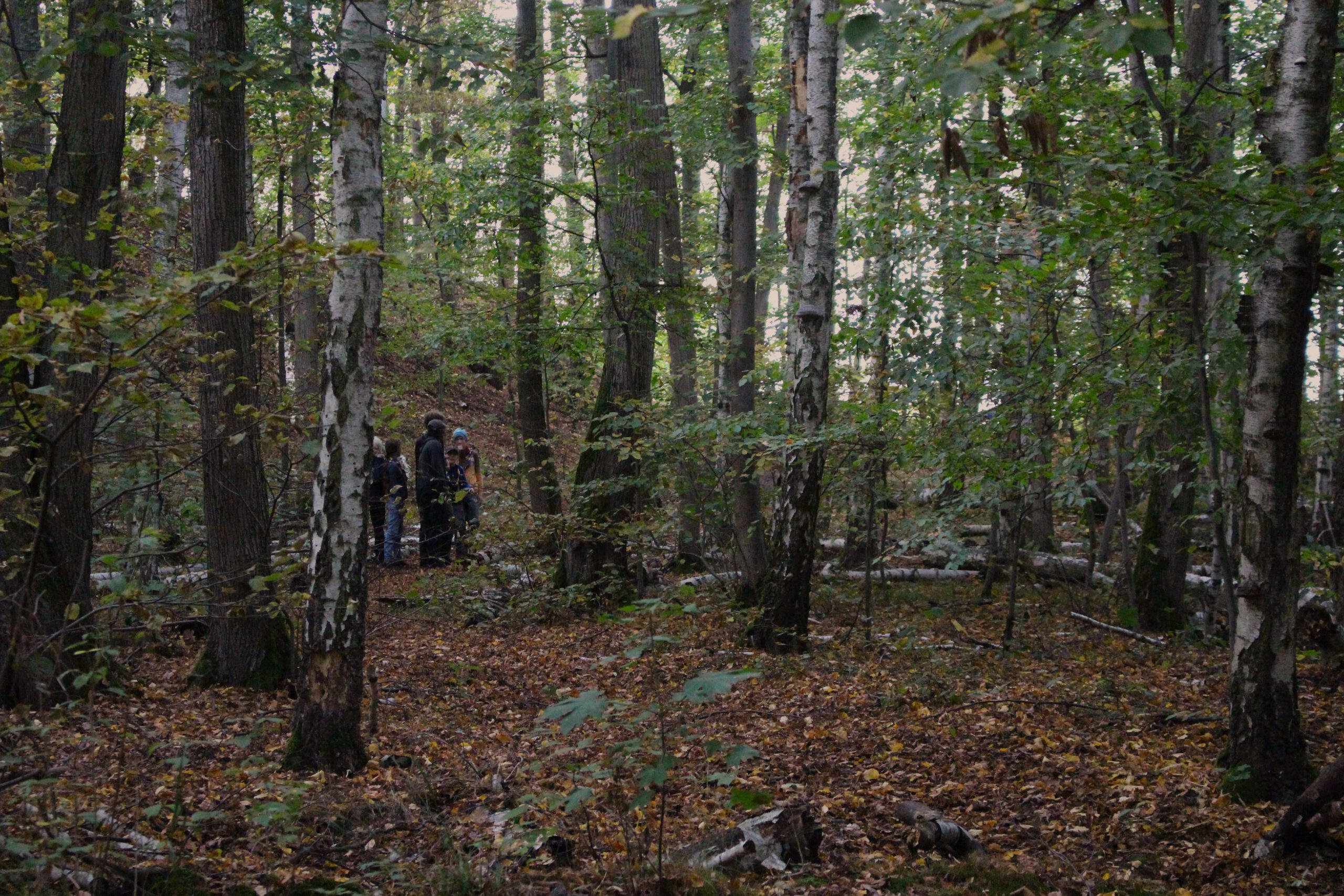 Die Kamera blickt durch einen Laubwald, ein Stück entfernt steht zwischen den Bäumen ein kleines Grüppchen Pfadfinder.